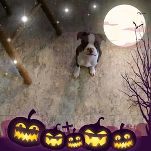 Meet your Posher, Anne